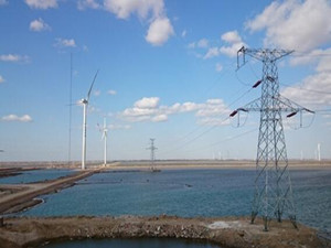 
                
	
                    
	近日，中國電建集團(tuán)貴州工程有限公司成功與青海北交新能源科技有限公司簽訂青海省海南州共和縣50兆瓦風(fēng)力發(fā)電項目EPC總承包合同。

	

	據(jù)悉，該風(fēng)力發(fā)電項目位于青海省海南州共和縣境內(nèi)，規(guī)劃裝機(jī)容量50兆瓦，中國電建集團(tuán)貴州工程有限公司以EPC總承包方式承建
