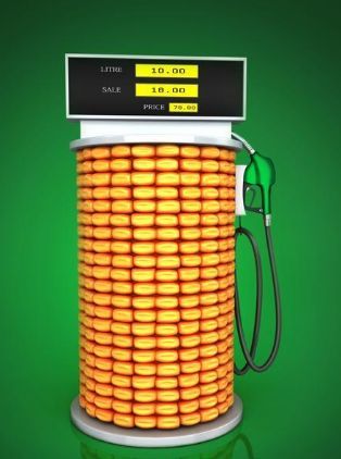 　　随着今年1月孟加拉国政府宣布允许使用E5乙醇，全球已有66个使用乙醇汽油的国家。以生物燃料乙醇为代表的生物能源是国家战略性新兴产业，世界各国高度重视、竞相开发