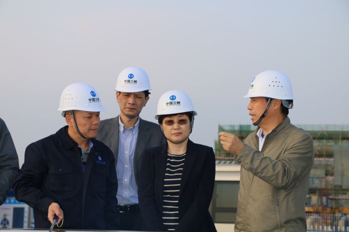      　　本网讯（王旭枫）3月13日，工业与信息化部装备司王瑞华副司长一行到产业园项目现场调研。省经信委、福清市政府、江阴港城经济区、三峡福建能投公司等单位领导参加调研