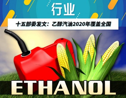 　　你能想象秸秆等农林废弃物可以变废为宝成为乙醇汽油么?我市的科学家们通过一种细菌实现了这一神奇转变。记者从青岛能源所获悉，该所代谢物组学团队长期致力于热纤梭菌等纤维素降解菌的遗传改造及代谢工程研究，通过对热纤梭菌及其纤维素降解酶系——纤维小体的定向改造，构建了新型的工程菌株，可以作为全菌催化剂实现农林废弃物中木质纤维素底物到可发酵糖的高效转化，促进了木质纤维素生物转化的工业化进程