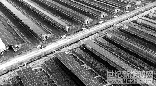 安徽省庐江县光伏农业示范园将棚顶光伏发电和棚下农业种植有机结合，带动农业产业转型升级。目前，该光伏示范园实现年发电量达到1893万千瓦时，农业大棚内种植各类蔬菜瓜果等经济作物，为周边乡村创造就业机会达280个，人均年收入达2.65万元以上