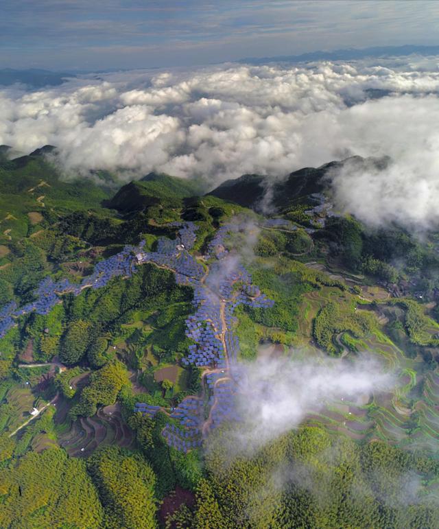 
　　國(guó)網(wǎng)浙江電力員工主動(dòng)對(duì)接服務(wù)的麗水山區(qū)光伏電站順利投產(chǎn)。鄭建攝

　　溫州南麂島離網(wǎng)型微電網(wǎng)示范工程、紹興上虞交直流混合微電網(wǎng)示范工程、嘉興城市能源互聯(lián)網(wǎng)綜合試點(diǎn)示范項(xiàng)目、京杭大運(yùn)河綠色岸電全覆蓋示范項(xiàng)目、沃爾沃小鎮(zhèn)區(qū)域能評(píng)示范項(xiàng)目……在國(guó)網(wǎng)浙江省電力有限公司，一大批為滿(mǎn)足終端客戶(hù)多元化能源生產(chǎn)與消費(fèi)而生的工程項(xiàng)目正在穩(wěn)定運(yùn)行中；為適應(yīng)能源發(fā)展趨勢(shì)，國(guó)網(wǎng)浙江電力將原國(guó)網(wǎng)浙江浙電節(jié)能服務(wù)有限公司更名為國(guó)網(wǎng)浙江綜合能源服務(wù)有限公司（以下簡(jiǎn)稱(chēng)“浙電能源”