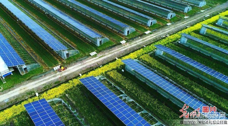  安徽省庐江县光伏农业示范园，将棚顶光伏发电和棚下农业种植有机结合，带动农业产业转型升级。目前，该光伏示范园实现年发电量达到1893万千瓦时，农业大棚内种植各类蔬菜瓜果等经济作物，为周边乡村提供280个就业机会，人均年收入达26500元以上