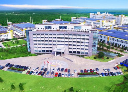 　　【中国仪表网 仪表企业】3月27日，林洋能源董事长陆永华与Greencells Group( “Greencells集团”)CEO Mr.Andreas Hoffmann在上海签署合作谅解备忘录，双方将在中国上海自由贸易试验区设立合资公司，其中林洋能源占股51%，Greencells集团占股49%，公司注册资本100万美元。以此推进双方在光伏支架工程设计、光伏运维、光伏设备集中采购、光伏微网及储能系统、亚太市场光伏电站开发、电表及AMI系统等领域的全面合作