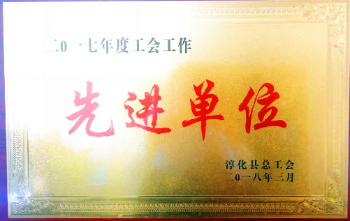 3月29日上午，從淳化縣總工會召開的“2017年度工會工作先進集體表彰大會”上獲悉，淳化縣供電分公司工會榮獲“2017年度工會工作先進單位”榮譽。據(jù)悉，2017年，淳化縣供電分公司工會委員會在縣委及市縣總工會的堅強領導下，堅持以黨的十九大精神和習近平新時代中國特色社會主義思想為指導，認真貫徹各級黨的群團工作會議精神，著力推動工會工作服務大局、服務基層、服務職工，努力增強工會組織的政治性、先進性、群眾性，充分發(fā)揮工人階級主力軍作用，在脫貧攻堅、追趕超越、接力推進“三強一名”縣建設中發(fā)揮了重要作用
