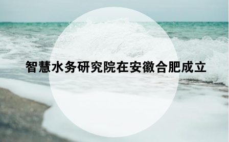 　　【中国仪表网 仪表新概念】随着物联网、云计算、大数据、遥感监测等新一代信息技术的迅猛发展，我国掀起一股“智慧城市”建设的热潮。而智慧水务作为智慧城市建设的重要一环，已成为国家战略发展的热点