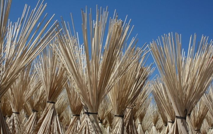 　　“我们电厂用的主要原料是秸秆和废菌包,每年废菌包的用量大约在10万吨以上,但同样是发电,秸秆可以享受增值税优惠,菌包就不可以。”谈起两种原料税费优惠政策,黑龙江省尚志市某生物质电厂负责人赵某颇为不解