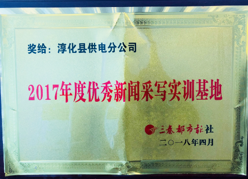 《三秦網(wǎng)》、《三秦都市報》授予2017年優(yōu)秀新聞采寫實訓基地，同時該公司王鋒被評授予“優(yōu)秀通訊員”光榮稱號。2017年，為把握正確輿論導向，培養(yǎng)通訊宣傳方面人才，樹立和宣揚公司良好形象，淳化縣供電分公司一直以來致力于認真落實集團公司和市公司黨委有關工作部署，在不斷提高各級專兼職通訊員思想素質和業(yè)務能力的基礎上，通過硬性指標績效考核，不斷激發(fā)大家的寫稿、投稿積極性，很好地促進了公司宣傳報道工作的健康開展，被據(jù)不完全統(tǒng)計，2017年，在全公司通訊員的共同努力下，共在各類各級報紙、網(wǎng)站等媒體共刊發(fā)稿件1000 