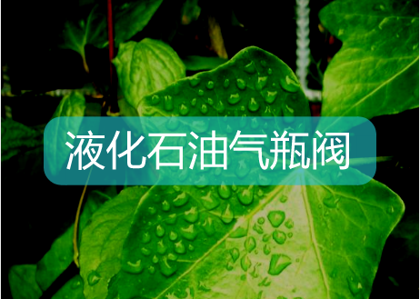 　　【中国仪表网 仪表标准】2017年11月1日，国家颁布了《液化石油气瓶阀》(GB/T 7512-2017)，并且将于2018年5月1日正式生效。按照规定，自5月1日起，阀门生产企业要停止生产原标准的瓶阀，7月1日起将停止销售