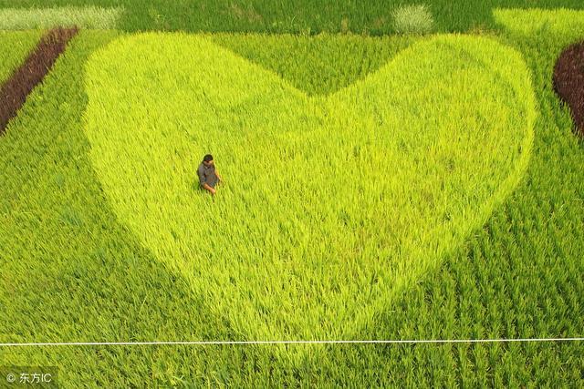 原标题：都在这了！生态农业的10大经典模式！             2002年，为进一步促进生态农业的发展，农业部向全国征集到了370种生态农业模式或技术体系，通过专家反复研讨，遴选出经过一定实践运行检验，具有代表性的十大类型生态模式，元立方金服研究员列举如下： （一）北方“四位一体”生态模式 它是一种庭院经济与生态农业相结合的新的生产模式。它以生态学、经济学、系统工程学为原理，将日光温室、猪圈、厕所和沼气池四个因素结合在一起，简称为四位一体模式