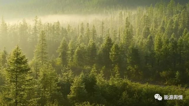 原标题：能源资讯|碳中和生物质能宣布  引发各方不同回应            碳中和生物质能宣布 引发各方不同回应  【WoodworkingNetwork网4月24日报道】华盛顿——环境保护署（EPA）署长斯科特·普鲁伊特（Scott Pruitt）周一宣布，森林生物质将被视为碳中和，用于能源生产。 在一份备忘录中，美国环保署证实，森林生物质在环境、能源和经济等方面都能带来诸多效益