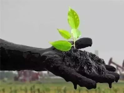 原标题：【原创】环境污染、技术进步与中国高耗能产业 ——基于环境全要素生产率的实证分析             沈可挺1,2 龚健健1 (1.浙江工商大学经济学院, 浙江 杭州310018； 2. 浙江工商大学现代商贸研究中心, 浙江 杭州310018；) [摘要]本文运用方向性距离函数和非参数数据包络分析方法估算了“九五”至“十一五”时期中国高耗能产业的环境全要素生产率（ETFP），并在考察高耗能产业ETFP的行业和省际差异基础上对其影响因素进行了实证分析。本文的研究表明，高耗能产业ETFP增长应主要由