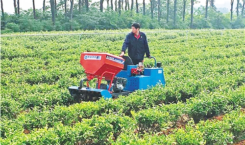  




　　御庭春茶场工人正在用小型机械作业。 刘 慧摄
　　2018年是我国推广有机肥替代化肥试点的第二年，率先在果菜茶领域进行的试点，一年就实现了有机肥用量增加50%