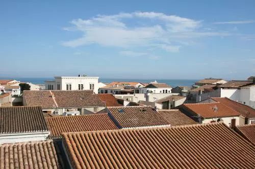 原标题：女子陪嫁屋顶奇葩吗？你out了            近日，一则关于女子陪嫁屋顶引发与婆家之间摩擦的新闻流传在网上，引发了社会上对于屋顶的热议，新闻中所提到的屋顶光伏电站其实是人们对屋顶空间利用的新方式。  从古至今，对屋顶的利用体现了人类非凡的生存智慧和环境适应能力