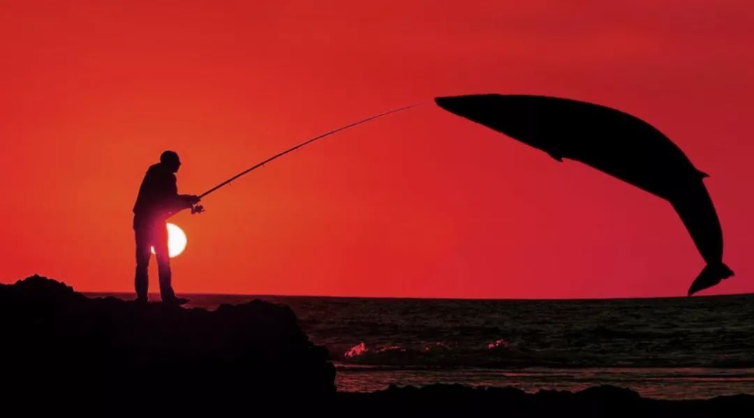 原标题：中天能源疑云：回复交易所问询兜圈子 是否涉嫌信披违规？             以重大资产重组为由停牌三个多月之后，中天能源（600856.SH）终于在2018年5月10日复牌。复牌当日，股价涨幅3.34%