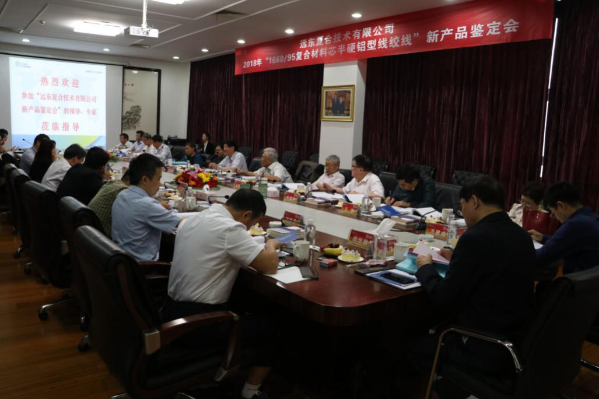 
	
                    
	新产品鉴定暨技术交流会在远东召开

	5月11日-12日，远东智慧能源股份有限公司（简称：智慧能源  股票代码：600869）全资子公司远东复合技术有限公司（简称：复合技术）“智能电网特高压输电线路用1660/95大截面复合芯导线”新产品鉴定暨应用技术交流会在远东召开。投资人、远东控股集团董事、智慧能源副董事长兼首席执行官蒋华君，投资人、智慧能源董事、首席运营官兼远东电缆产业董事、执行总经理陈静，投资人、集团监事局主席、远