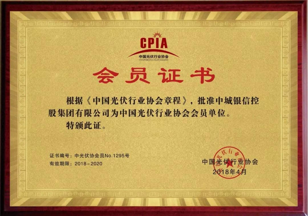 原标题：中城银信正式加入中国光伏行业协会            近日，中城银信控股集团正式获批加入中国光伏行业协会，成为其会员单位。此举代表了中国光伏行业协会对中城银信光伏发电产业发展的肯定，也将助力中城银信与清洁能源领域企业的进一步交流与合作
