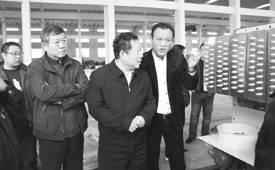 原标题：山东淄博：矿山装备创新的“名盾”力量                王慧 党的十九大报告指出，创新是引领发展的第一动力，是建设现代化经济体系的战略支撑。要突出关键共性技术、前沿引领技术、现代工程技术、颠覆性技术创新，为建设科技强国、质量强国、航天强国、网络强国、交通强国、数字中国、智慧社会，为加快建设创新型国家提供有力支撑