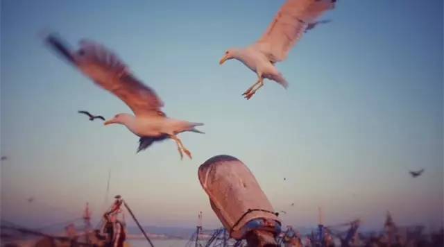 原标题：唐斌《点绿成金：绿色金融的实践与思考》             编者语：   2018年5月17日，深圳前海资产金融交易所总经理唐斌先生前往中欧清洁与可再生能源学院中欧绿色能源金融研究所交流访问，并作《点绿成金：绿色金融的实践与思考——以兴业银行与国际金融公司的合作为例》专题讲座。敬请阅读