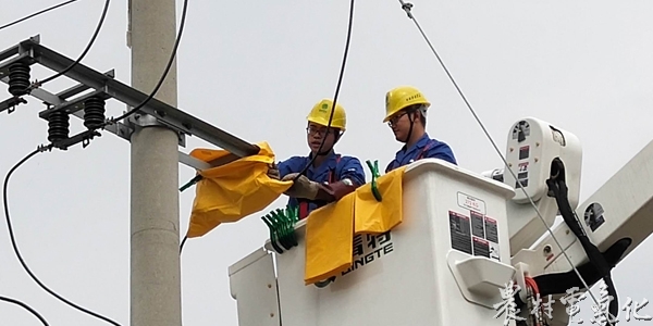 
　　农村电气化网讯：蓬溪公司带电作业班5月2日至29日赴射洪金华培训中心参加了带电作业岗前培训。

　　此次培训分为理论知识和实际操作两部分