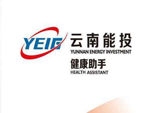 
	
                    
	【电缆网讯】5月30日午间，云南能投披露重组报告书(草案)并继续停牌，同时发布《关于与云南能投新能源投资开发有限公司签署附条件生效的<发行股份购买资产业绩补偿协议>的公告》。

	

	公告显示，本次交易中，云南能投拟以9.20元/股价格发行股份的方式购买控股股东能投集团旗下新能源公司持有的马龙公司100%股权、大姚公司100%股权、会泽公司100%股权以及泸西公司70%股权