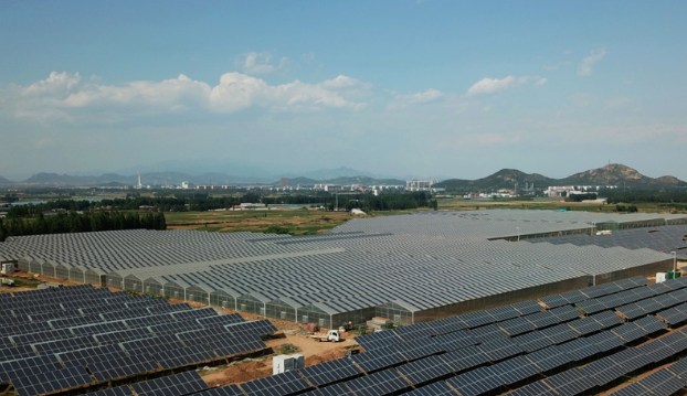 這是秦皇島市撫寧區(qū)墳坨管理區(qū)的20兆瓦“農光互補”光伏發(fā)電廠內的智能光伏溫室（5月30日無人機拍攝）。財經日歷資訊快遞貴金屬模擬交易貴金屬專家直播室金投網貴金屬行情軟件