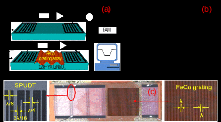 　　【中国仪表网 仪表研发】在当今的信息社会中，磁场传感器已成为信息技术和信息产业中不可缺少的基础元件。  　　图1(a)声表面波磁场传感器的基本结构，(b)传感器件响应，(c)沉积栅阵化铁钴薄膜的传感器件  图2 沉积铁钴薄膜与栅阵的传感器性能对比，(a)磁滞误差测试，(b)灵敏度测试 　　目前，人们已研制出利用各种物理、化学和生物效应的磁场传感器，并已在科研、生产和社会生活的各个方面得到广泛应用，承担起探究种种信息的任务