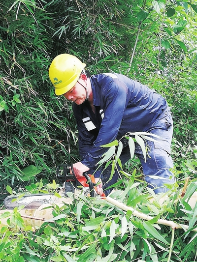 
　　臺風登陸前一天，為保障高考考點電力供應，廣東電網(wǎng)公司茂名高州供電局寶光供電所人員對高州中學線進行特巡特維。圖為供電人員在清理樹障