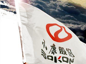 
	
                    
	【电缆网讯】6月12日晚间，小康股份发布公告称，公司拟对金康新能源增资30亿元，增资后，金康新能源的注册资本从10亿元增至40亿元，仍为公司全资子公司。

	

	具体而言，小康股份计划使用可转债募集资金4.23亿元、自有资金25.77亿元，分别用于纯电动乘用车建设项目、发展新能源汽车相关业务
