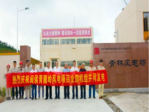 
	
                    
	【电缆网讯】6月8日，大唐新能源福建公司闽侯青林风电场二期青圃岭项目19台风机全部并网发电。

	

	据悉，青圃岭项目位于闽侯县青口镇青林村，该项目青为林风电场二期工程，总装机为47.5 MW