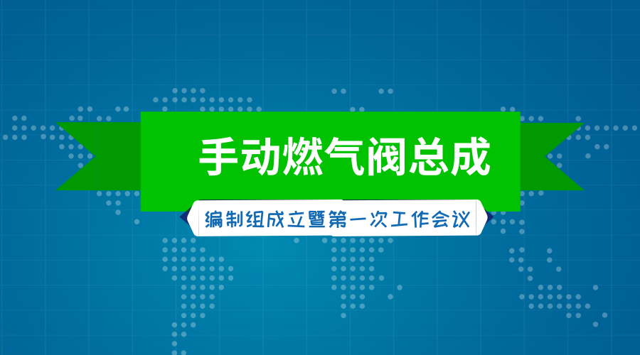 　　【中国仪表网 仪表标准】日前，国家标准《燃气燃烧器和燃烧器具使用安全和控制装置特殊要求手动燃气阀总成》编制组成立暨第一次工作会议在浙江新昌召开。  　　会议由住房和城乡建设部燃气标准化技术委员会秘书处主办，浙江新涛智控科技股份有限公司承办