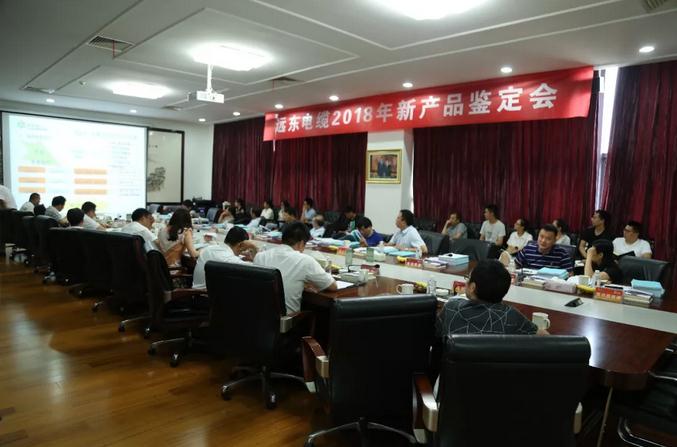 
	
                    
	6月30日，江苏省经济和信息化委员会组织专家在远东控股集团召开新产品新技术鉴定会，远东智慧能源股份有限公司（简称：智慧能源  股票代码：600869）旗下全资子公司远东电缆有限公司研制开发的七项新产品经鉴定结构设计和性能优异，生产工艺成熟，制造装备先进，检测手段齐备，市场前景广阔。

	来自国际大电网绝缘电缆中国研究委员会、西安交通大学、上海交通大学、国家电线电缆质量监督检验中心（江苏）、VDE产品检测技术（上海）有限公司苏州分公司、上海缆慧检测
