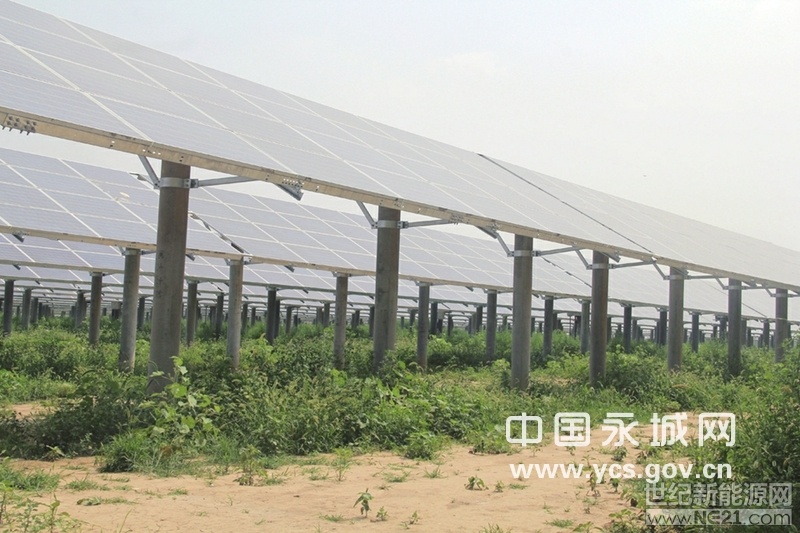 

太陽能光伏發(fā)電板鋪設(shè)完成

日前，記者在位于劉河鎮(zhèn)的永城鑫能劉河80兆瓦農(nóng)光互補項目（以下簡稱永城鑫能項目）所在地看到，一排排整齊的太陽能光伏發(fā)電板已鋪設(shè)完成，藍色多晶硅組件在陽光的照射下閃閃發(fā)光。該項目于6月14日一次并網(wǎng)成功