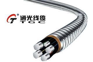 
	
                    
	【电缆网讯】近期，江苏通光电子线缆股份有限公司全资子公司江通光光缆有限公司、江苏通光强能输电线科技有限公司（以下简称“通光），成功预中标国家电网公司2018年输电线路材料光缆及光缆附件第四次集中招标活动、国家电网公司2018年北京西-石家庄 1000 千伏交流特高压工程光缆集中招标活动等4个项目，中标金额合计1.49亿元。

	

	通光将以一流的质量和一流的服务圆满完成此项工程，为国家电网建设作出应有的贡献