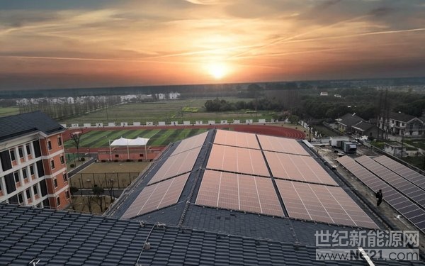  上海市松江区新浜学校每年种树将近6000棵，堪称绿色环保楷模。这6000棵树并非造林工程，而是新浜学校屋顶光伏电站每年产生绿电减排二氧化碳的效果