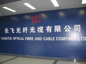 
	
                    
	【电缆网讯】7月20日，长飞光纤登陆A股市场，正式在上海证券交易所挂牌上市。长飞光纤股票代码为601869，首次公开发行不超过75790510股A股，正式成为国内光纤光缆行业、湖北省A+H股两地上市企业