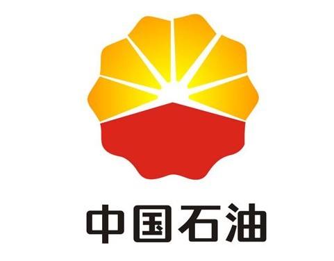 
	
                    
	【电缆网讯】据中国石油集团官网消息，近日，集团公司党组书记、董事长、全面深化改革领导小组组长王宜林主持召开全面深化改革领导小组第二十五次会议并讲话。他强调，围绕今年改革工作重点，要全面抓好各项改革举措扎实推进，包括进一步完善市场化经营机制，健全“五个中油”内部授权管理机制，全面完成“三供一业”分离移交和医疗、教育机构的社会化改革等