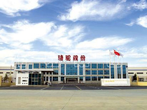 
	
                    
	【电缆网讯】8月9日晚间，骆驼股份发布2018年半年度报告显示，上半年，公司实现营收42.30亿元，同比增长32.43%，实现净利润2.88亿元，同比增长34.17%。

	

	据分析，骆驼股份业绩增长受益于国内庞大且日益增长的汽车保有量，公司销售渠道建设的优势显现，上半年维护替换市场的销量比去年同期增长30%左右，铅酸蓄电池销售总量近1200万KVAH