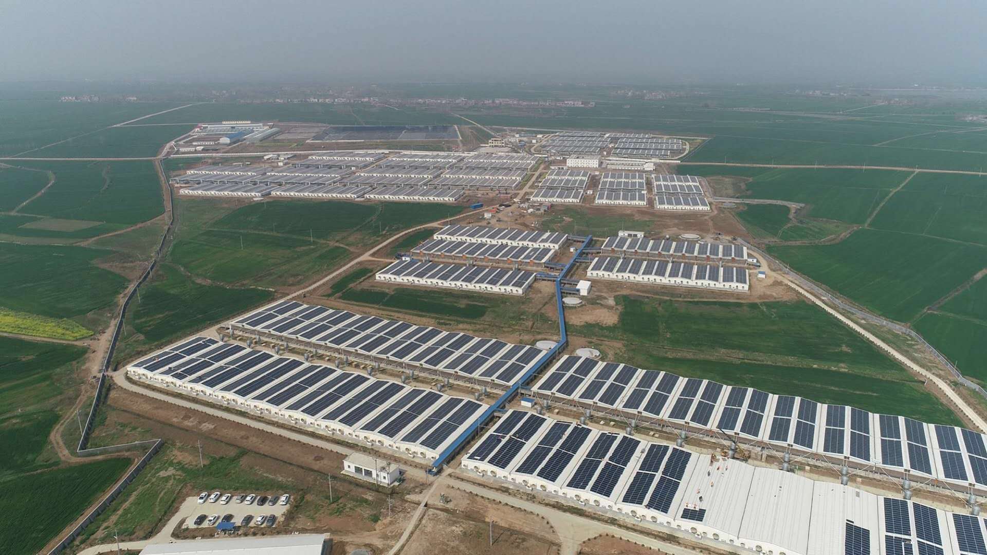 　　近日，中天科技在湖北老河口市投資興建的首期28兆瓦分布式光伏電站正式并網(wǎng)發(fā)電。這是中天科技繼援建湖南湘西野竹坪希望小學之后又一個重大扶貧項目，也是以實際行動響應黨的十九大“深入實施東西部扶貧協(xié)作”，全面落實習近平“改進脫貧攻堅動員和幫扶方式，扶持誰、誰來扶、怎么扶，全過程都要精準”指示精神的一大創(chuàng)舉，受到當?shù)卣蛷V大農(nóng)民的普遍歡迎