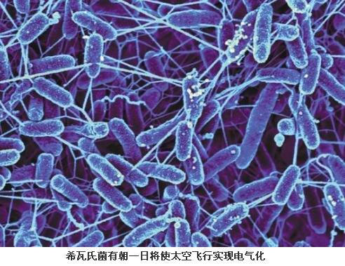 　　據(jù)報(bào)道，航天員正在國際空間站上進(jìn)行的一項(xiàng)實(shí)驗(yàn)，可能使未來的太空探索任務(wù)實(shí)現(xiàn)電氣化。這項(xiàng)實(shí)驗(yàn)的主角是一批希瓦氏菌——7月初被送上國際空間站