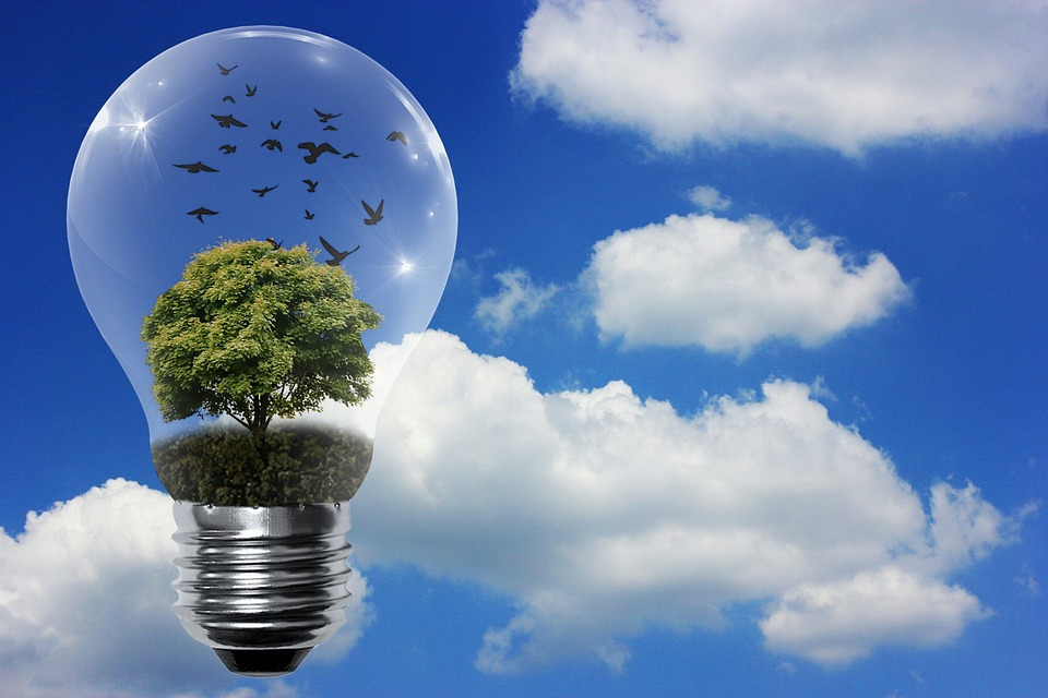 原標題：將走出裝機量下滑低谷 我國風(fēng)電行業(yè)有望逆襲            從無到有，從弱到強，從小到大，歷經(jīng)40多年的風(fēng)雨發(fā)展路，中國風(fēng)電實現(xiàn)了從零起步到領(lǐng)跑世界的華麗逆襲。 據(jù)了解，我國風(fēng)電裝機規(guī)模在2000年時僅有可憐巴巴的30萬千瓦，而2010年，風(fēng)電裝機規(guī)模已經(jīng)奇跡般地達到4400萬千瓦，并在2012年真正彎道超車，以6000萬千萬的裝機規(guī)模超越美國，成為世界第一的風(fēng)電大國