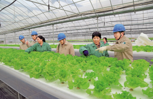 
　　江蘇東臺(tái)市供電公司三倉(cāng)供電所員工向大棚種植基地管理人員了解用電需求，保證生態(tài)大棚用電安全。 孫永興 攝

　　8月8日，國(guó)家電網(wǎng)公司2018年?duì)I銷（農(nóng)電）工作座談會(huì)在江蘇南京召開(kāi)