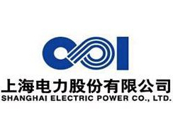 
	
                    
	【电缆网讯】日前，上海电力发布了《关于公司重大资产购买交割进展的公告 》称，巴基斯坦国家电力监管局(NEPRA)于2017年10月公布了KE公司新多年期电价机制(MYT)的复议结果，复议结果仍未能达到预期。巴基斯坦政府相关主管部门就KE公司的新MYT电价复议结果正式致函NEPRA，要求其对电价复议结果进行重新考虑