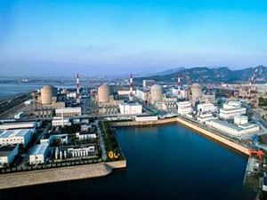 
	
                    
	【电缆网讯】8月25日19时15分，田湾核电站4号机组第1组燃料组件稳稳装入堆芯指定位置，标志着4号机组首次装料作业正式开始，机组正式进入带核运行状态。

	

	为保证4号机组装料顺利进行，江苏核电与各参建单位团结协作，充分发扬坚韧不拔、攻坚克难的田湾精神，科学组织、精心准备，在机组的系统设备状态、人员培训与资质、管理与技术文件、现场环境条件等方面进行了全面准备