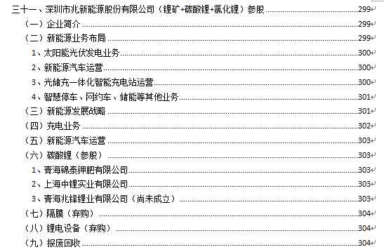 原標(biāo)題：1000多家鋰電池產(chǎn)業(yè)鏈企業(yè)-兆新股份：充電樁+鋰鹽鋰礦+回收利用            車研咨詢研究了鋰電池產(chǎn)業(yè)鏈（鋰電池、正極、負(fù)極、隔膜、電解液、鋰電設(shè)備、鋰礦鋰鹽、回收利用）市場(chǎng)1000多家企業(yè)的經(jīng)營(yíng)狀況。 其中，車研咨詢發(fā)布《2018-2025年中國(guó)鋰礦與鋰產(chǎn)品市場(chǎng)發(fā)展趨勢(shì)與投資前景預(yù)測(cè)報(bào)告（2018版）》、《2018年中國(guó)100家鋰礦與鋰產(chǎn)品企業(yè)經(jīng)營(yíng)分析報(bào)告（2018版）》，對(duì)中國(guó)鋰礦與鋰產(chǎn)品市場(chǎng)100家企業(yè)的發(fā)展進(jìn)行了統(tǒng)計(jì)分析（分公司/子公司與母公司按一家公司計(jì)算）