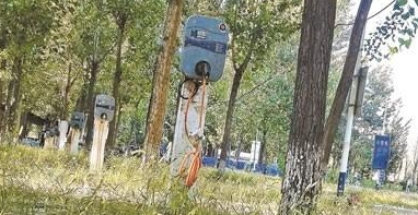 　　蟹島度假村廢棄停車場內的“僵尸充電樁” 攝影/本報記者 袁藝　　北京青年報記者走訪調查發(fā)現，在蟹島度假村東門附近停車場，出現了一處大規(guī)模的“僵尸樁”，約40根新能源車充電樁全部閑置，其中大部分已經損壞。充電樁運營企業(yè)內部人士透露，這批充電樁是發(fā)展初期為搶占市場而大量建設的