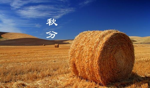 　　曾經，秸稈是農村的寶。如今，卻成了豐收后的煩惱