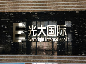 
	
                    
	【电缆网讯】近日，由光大国际装备制造公司提供渗滤液处理系统EPC总包工程的非洲埃塞俄比亚垃圾发电项目正式竣工投产。这是非洲第一座垃圾发电厂，是中国和埃塞俄比亚在环保领域的第一个合作项目，是公司自主研发生产的渗滤液处理系统首次应用于非洲