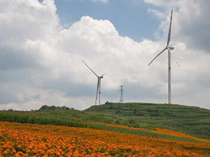 
	
                    
	【電纜網(wǎng)訊】截至9月1日，山東分公司九龍山風(fēng)電場首批機(jī)組并網(wǎng)發(fā)電以來，累計實(shí)現(xiàn)發(fā)電量30037萬千瓦時，突破3億度大關(guān)，連續(xù)安全生產(chǎn)1007天。

	

	據(jù)悉，九龍山風(fēng)電場始終堅持“安全第一，度電必爭”的工作方針，以安全生產(chǎn)標(biāo)準(zhǔn)化建設(shè)為工作抓手，全力以赴搶發(fā)電量，取得了顯著成效