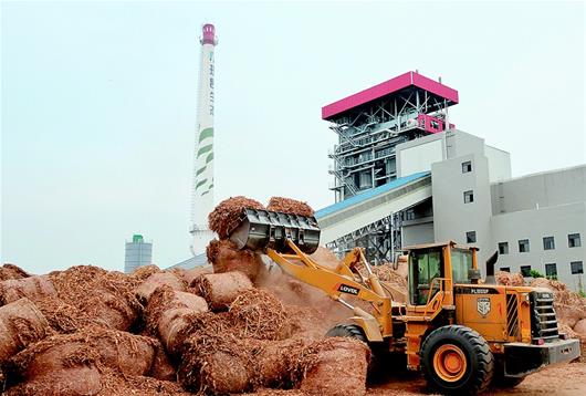 　　9月11日，鏟車正在為電廠鍋爐儲備燃料。荊州理昂生物質(zhì)發(fā)電項目，利用當(dāng)?shù)刎S富的秸稈、稻殼和樹皮等農(nóng)林廢棄物燃燒發(fā)電，也為周邊企業(yè)提供熱源，灰渣還成為制肥原料